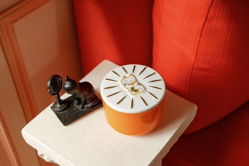 Candela profumata al neroli selvatico in barattolo di ceramica con coperchio con gatto portafortuna cinese in scatola regalo, realizzata in cera di soia con due stoppini, perfetta come candela particolare da regalare